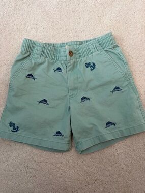 Polo by Ralph Lauren Mint Green Embroidered Marlin Kids Shorts